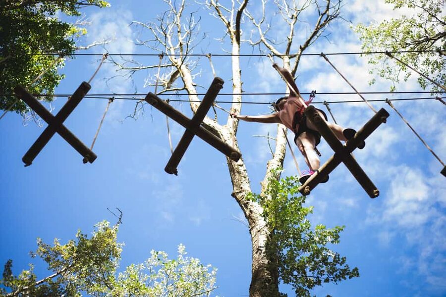 La Tremblade: Oasalis Parcour Adventure Park - Key points to know before you climb