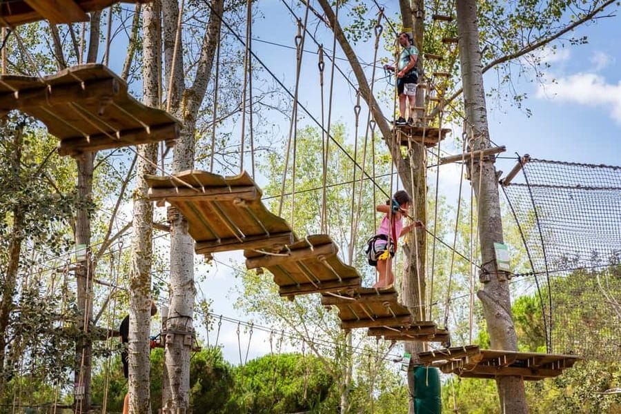 La Tremblade: Oasalis Parcour Adventure Park - Five treetop routes with different levels of effort