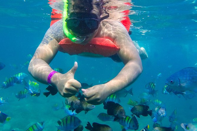 Las Caletas Beach & Adventure Park with buffet lunch and open bar - Service, entertainment, and group size