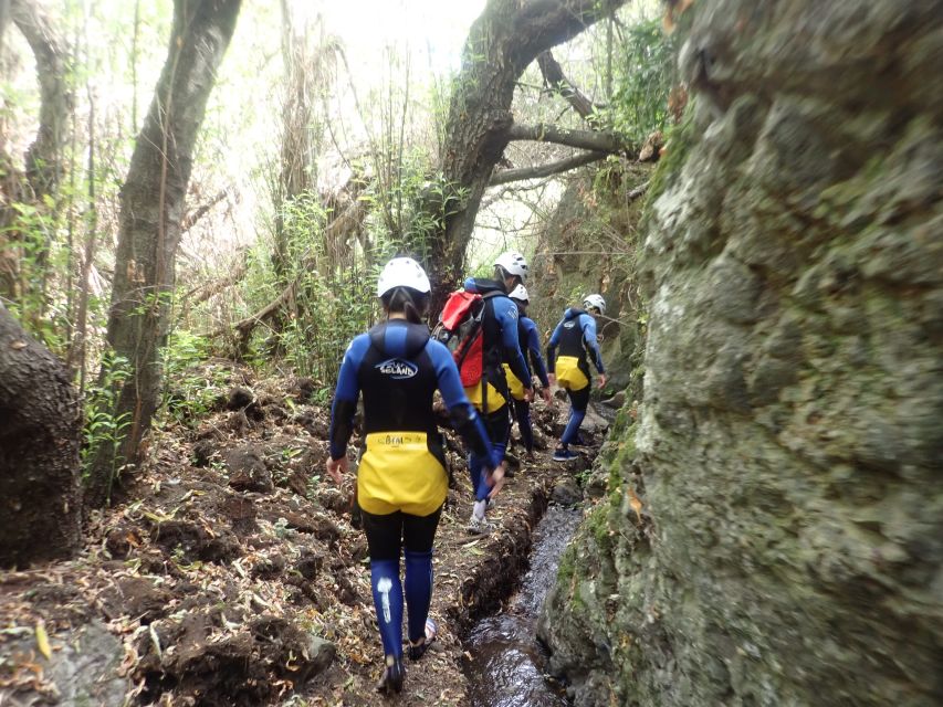 Las Palmas, Gran Canaria: Canyoning Adventure - What the $77 price includes