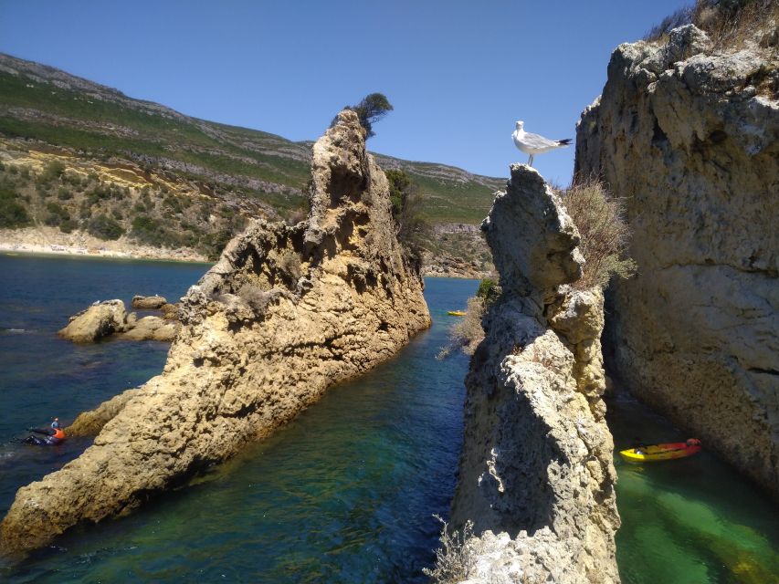 Lisbon: Arrábida Kayak and Coasteering Adventure Tour - Mountain views before returning to Lisbon