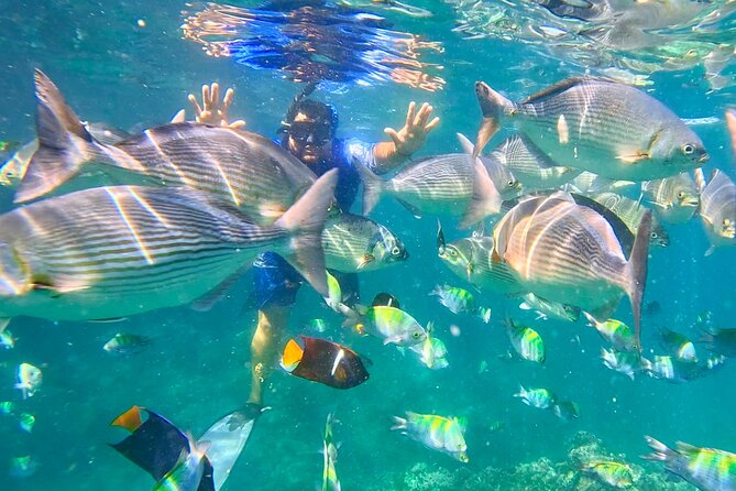 Los Arcos 5 islands Snorkeling Cliff Jumping and Hidden Beach - Mismaloya and the old movie-set stop