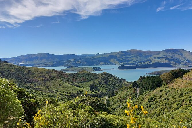 Lyttelton Shore Excursion: Christchurch Sightseeing with Jet Boating - Mona Vale gives the day a quieter pause