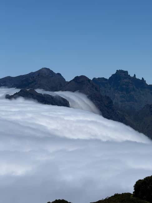 Madeira Adrenaline 4x4 Tour: Zipline, Giant Swing and Seixal - Should you book the Madeira Adrenaline 4x4 Tour?