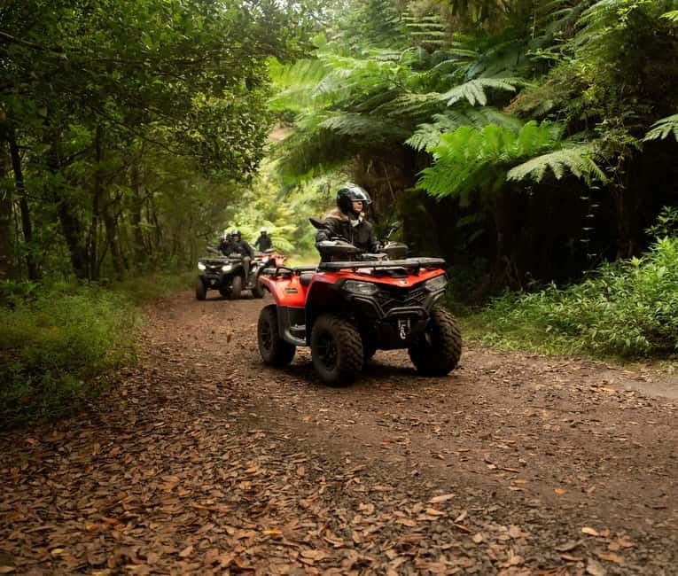 Madeira: Aventura Off-Road de ATV ou Quad - Adrenalina - Forest tracks at Casa das Funduras