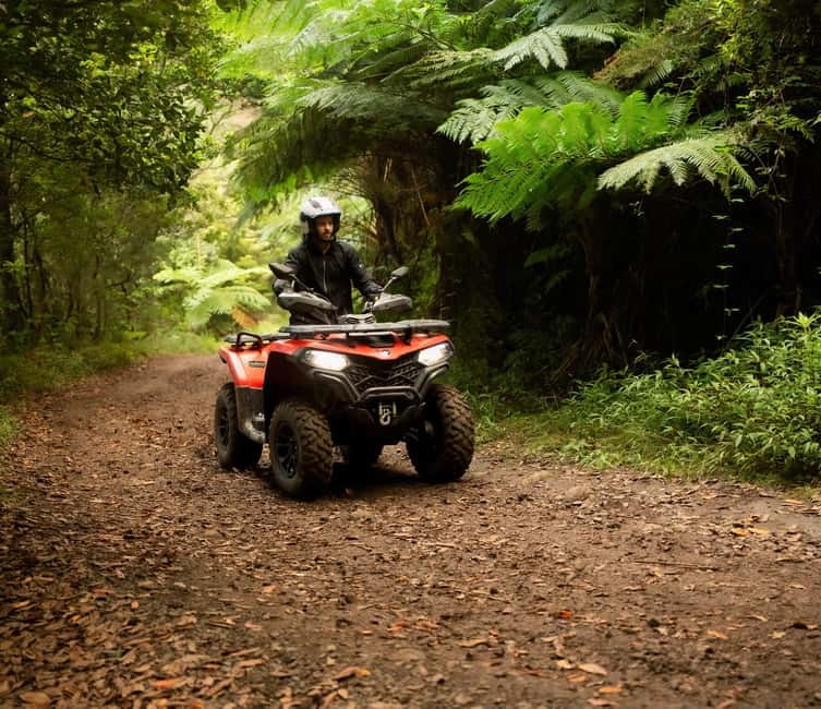Madeira: Aventura Off-Road de ATV ou Quad - Adrenalina - Starting near Caminho da Chã