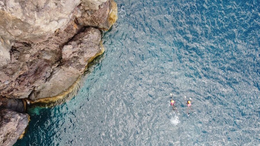 Madeira Coasteering and Cliff Jumping Thrill & Adventure - Swimming, snorkeling, and free climbing