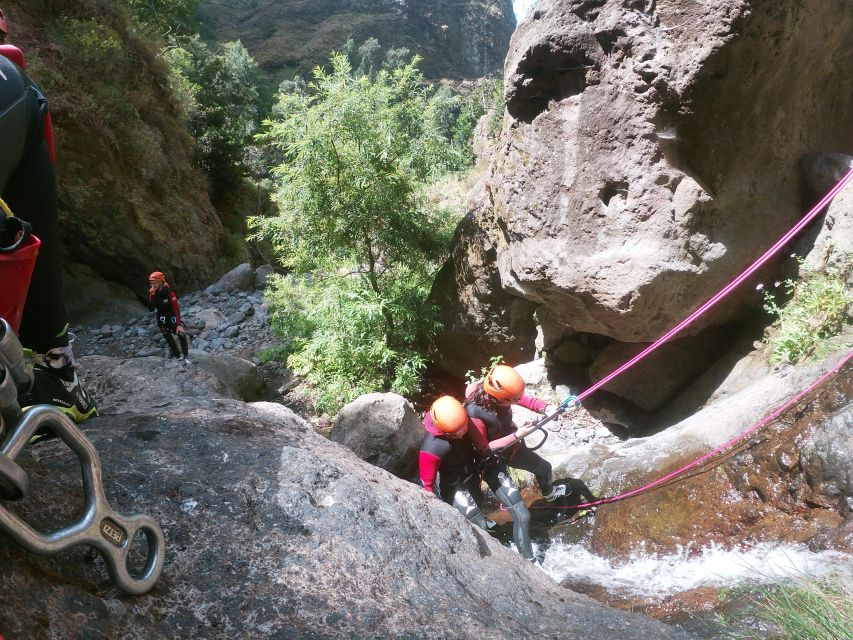 Madeira: Intermediate (Level 2) Canyoning Experience - What Is Included for $106