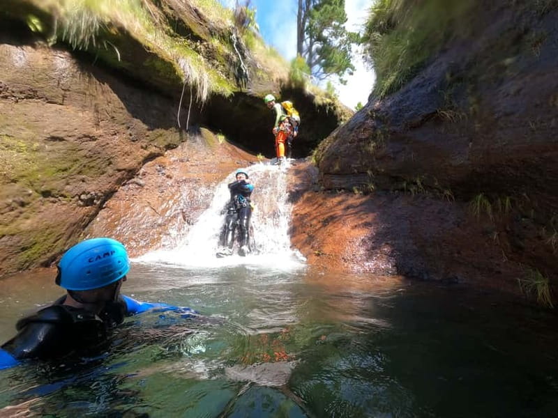 Madeira : Ribeira das Cales Canyoning (Level 1) - From Funchal or Caniço to Funchal Ecological Park