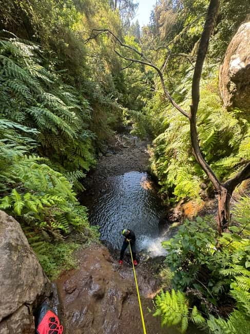 Madeira Short Canyoning For Beginners Rochão Level 1 - Rochão gives beginners a real canyoning introduction