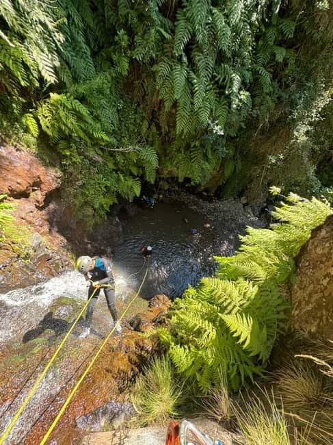 Madeira Short Canyoning For Beginners Rochão Level 1 - Inside Funchal’s Ecological Park