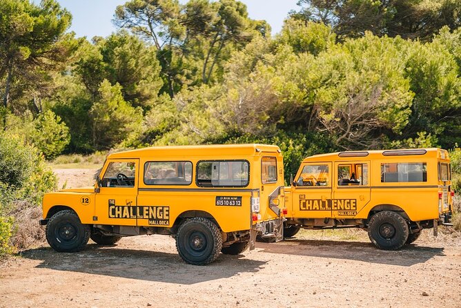 Mallorca: Kayaking, Sea Cave, Cliff Jumping & Snorkel Tour - Kayaking beside Mallorca’s northern coast
