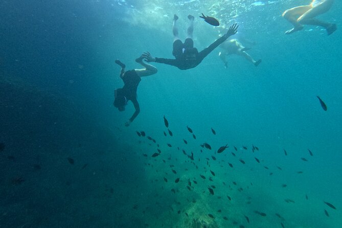 Mallorca: Kayaking, Sea Cave, Cliff Jumping & Snorkel Tour - Snorkeling in clear Mediterranean water