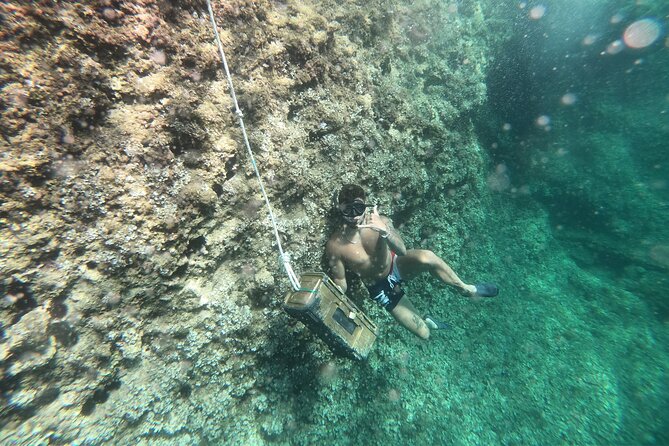 Mallorca: Kayaking, Sea Cave, Cliff Jumping & Snorkel Tour - Getting to La Victòria from Alcúdia