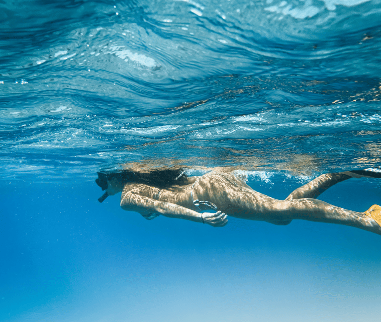 Mallorca: Visit Palma Speedboat adrenaline & snorkelling - Practical advice before you go