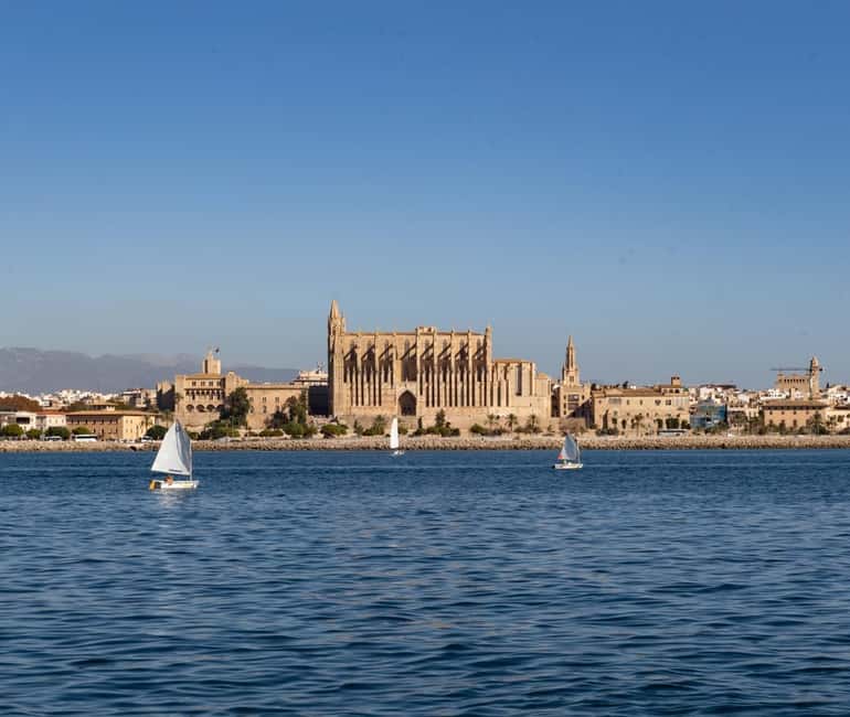 Mallorca: Visit Palma Speedboat adrenaline & snorkelling - A quick ride with a useful change of pace