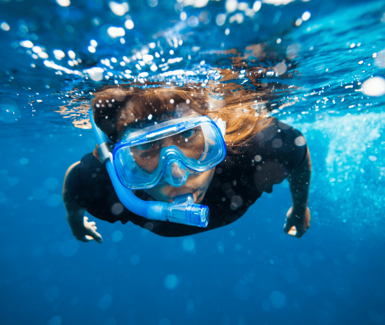 Mallorca: Visit Palma Speedboat adrenaline & snorkelling - The speedboat section: excitement with a captain in control