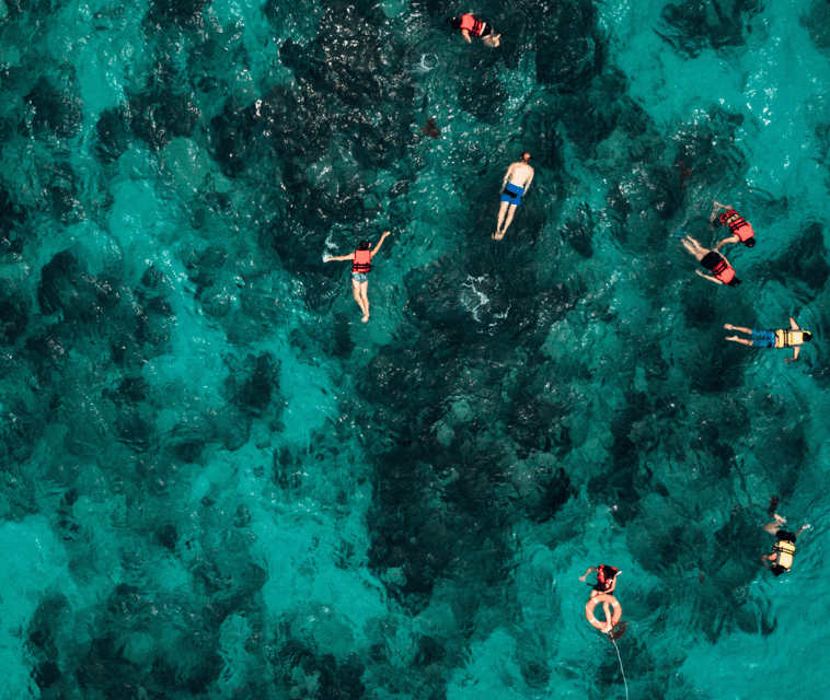 Mallorca: Visit Palma Speedboat adrenaline & snorkelling - How the ride balances thrill and relaxation