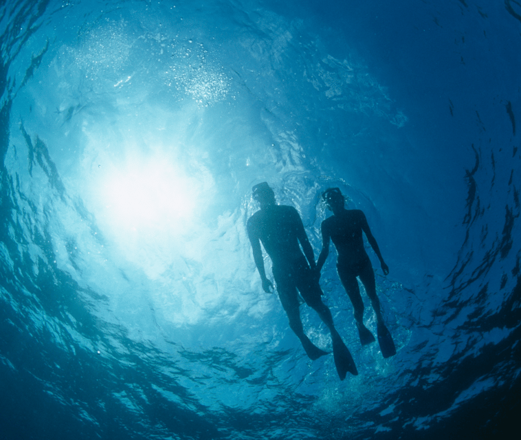 Mallorca: Visit Palma Speedboat adrenaline & snorkelling - Who should book this experience