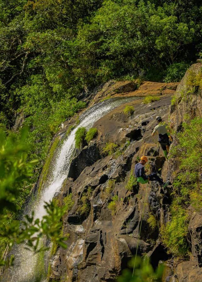 Mauritius: Tamarind Falls Canyoning Adventure - Who should book this experience?