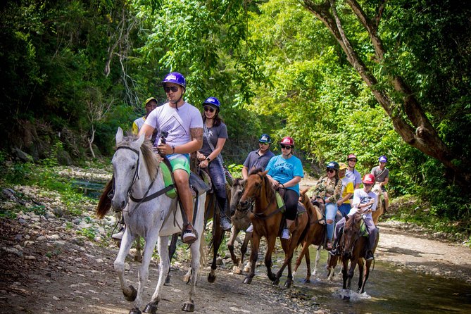 Mega Extreme Adventure: Horseback Riding, Ziplining and more - Dominican Buffet Lunch and Farm Time