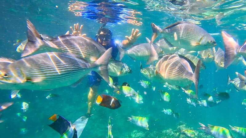 Mismaloya: Snorkeling, Cliff Jumping, and Beach Tour - What this Mismaloya boat trip actually feels like
