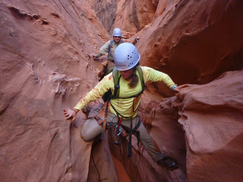Moab: Morning or Afternoon Half-Day Rappelling Tour - From Your Moab Hotel to Dad Gum Canyon