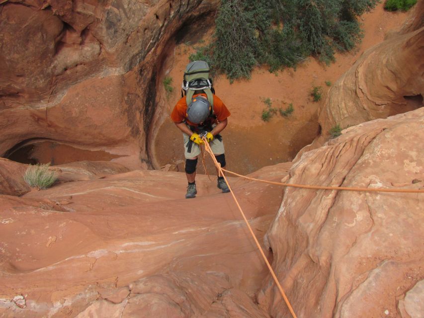 Moab: Morning or Afternoon Half-Day Rappelling Tour - Is $163 a Fair Price?