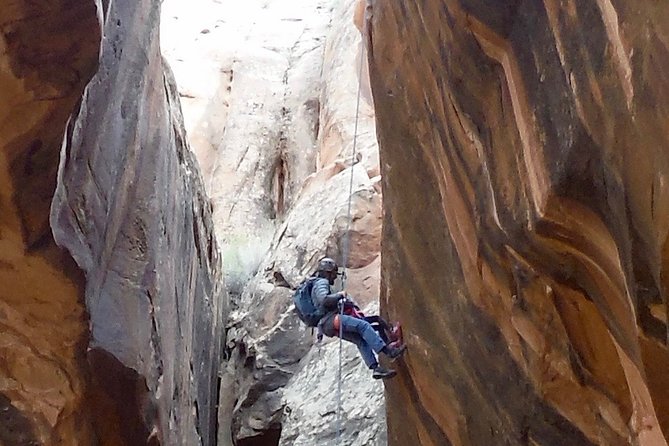 Moab Rappeling Adventure: Medieval Chamber Slot Canyon - The five details that shape this Moab adventure