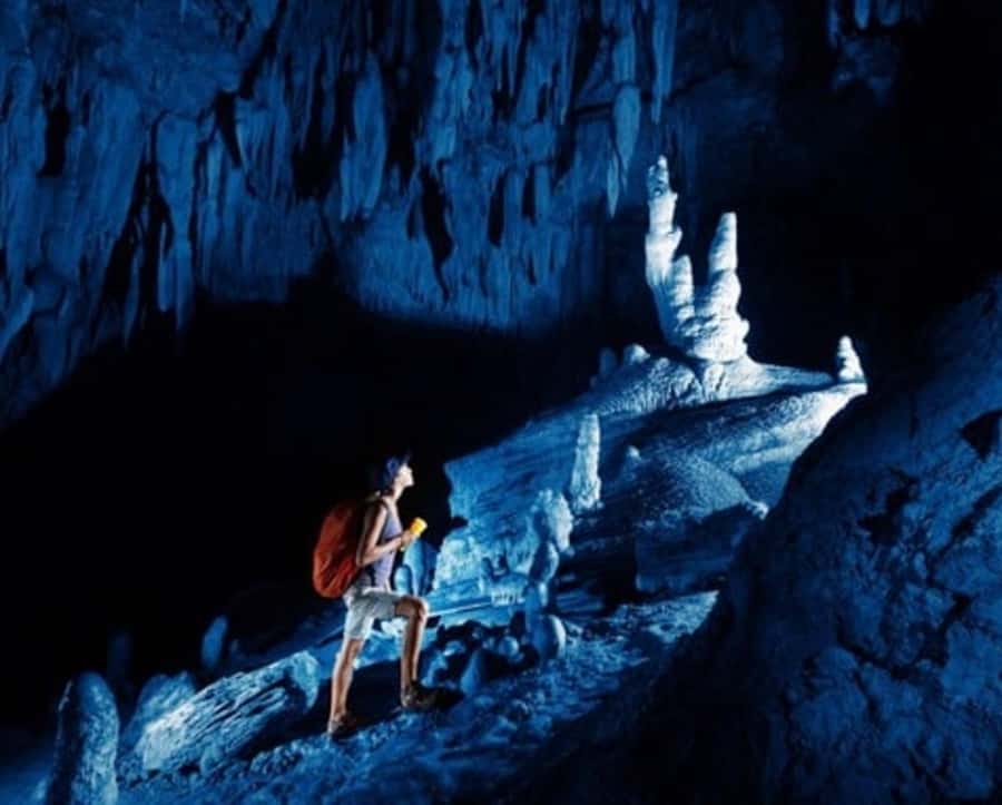 Nadi: Abseiling, Zipline, and Cave Tour with Meal - The quick take