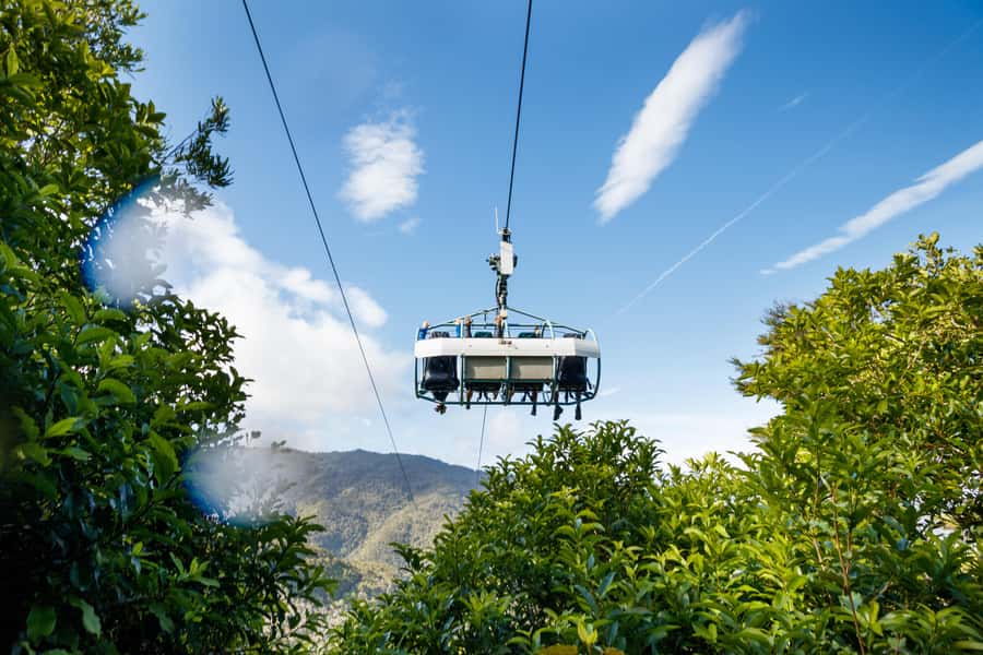 Nelson: Cable Bay Adventure Park Skywire Experience - Forest, farmland, and old trees below