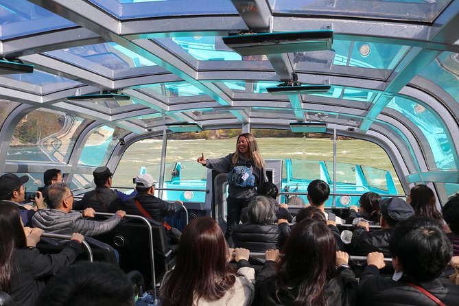 Niagara CANADA, Domed (Dry) Jet Boat Tour - Who should take this tour?