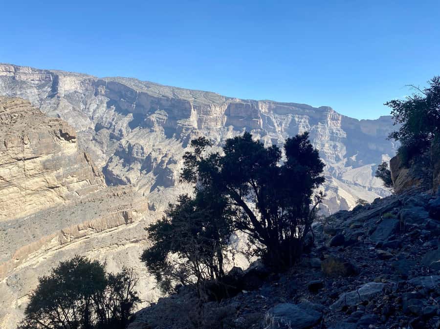 Nizwa: Jebel Shams Balcony Walk and Via Ferrata Adventure - Key points at a glance