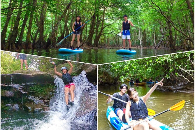Okinawa Iriomote Mangrove SUP or Canoe and Splash Canyoning Tour - Key points before you book