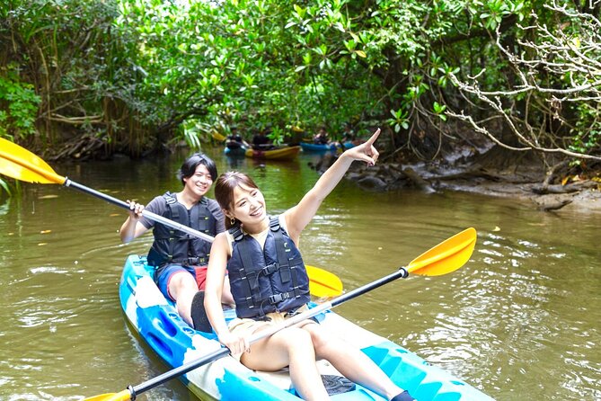 Okinawa Iriomote Mangrove SUP or Canoe and Splash Canyoning Tour - Price, group size, and what you receive