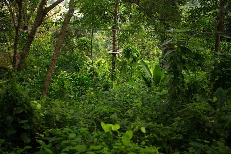 Phuket: Jungle Xtreme Adventure Park Entry Ticket - Staff support and language options