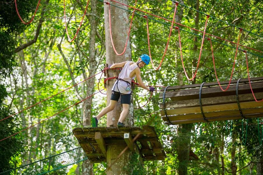 Phuket: Jungle Xtreme Adventure Park Entry Ticket - A rainforest activity with a lighter ecological touch