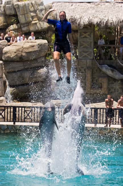 Puerto Plata: Ocean World Adventure Park Day Pass - Key Points Before You Book