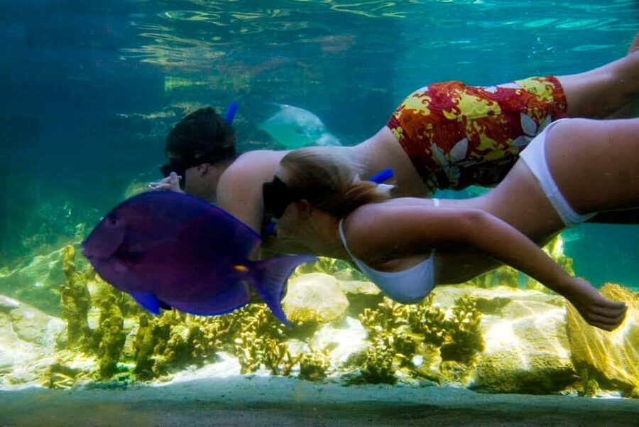 Puerto Plata: Ocean World Adventure Park Day Pass - Starting With the Rainforest and Animal Habitats
