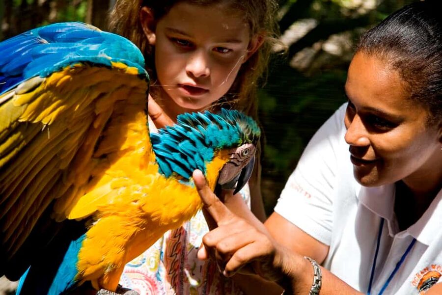 Puerto Plata: Ocean World Adventure Park Day Pass - Dolphin, Sea Lion, Shark, and Bird Shows