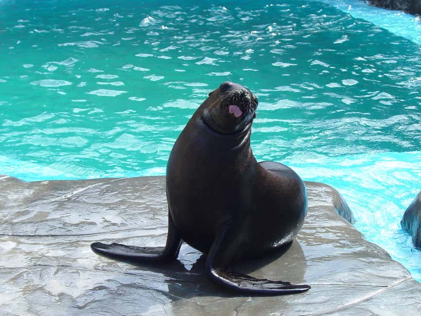 Puerto Plata: Ocean World Adventure Park Day Pass - Getting There From Puerto Plata Hotels