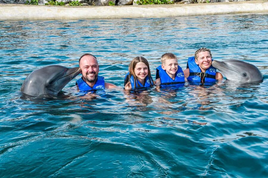 Puerto Plata: Ocean World Adventure Park Swim with Dolphins - Key points to know before booking