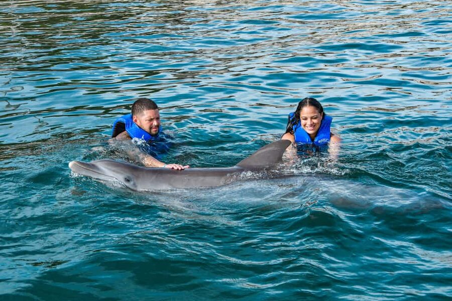 Puerto Plata: Ocean World Adventure Park Swim with Dolphins - Starting with the dolphin briefing