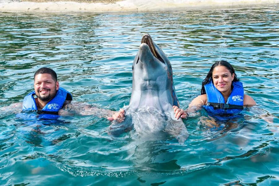 Puerto Plata: Ocean World Adventure Park Swim with Dolphins - Getting to Ocean World from Puerto Plata