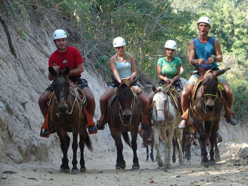 Puerto Vallarta: Outdoor Ziplines and Rappel Adventure - A mule ride before the zip lines
