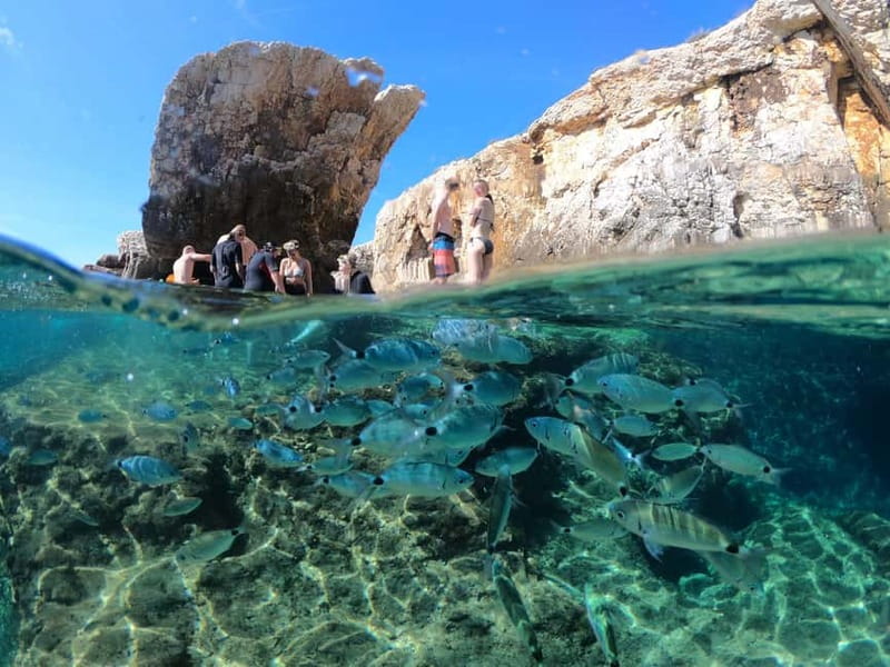 Pula: Cave Kayak, Snorkeling, Cliff Jumping All-in-one Tour - Cliff jumping up to 15 meters