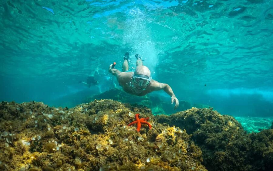 Pula: Kayaking,Snorkeling, Cliff jumping Tour with Wetsuit - What makes this Pula sea tour worth considering