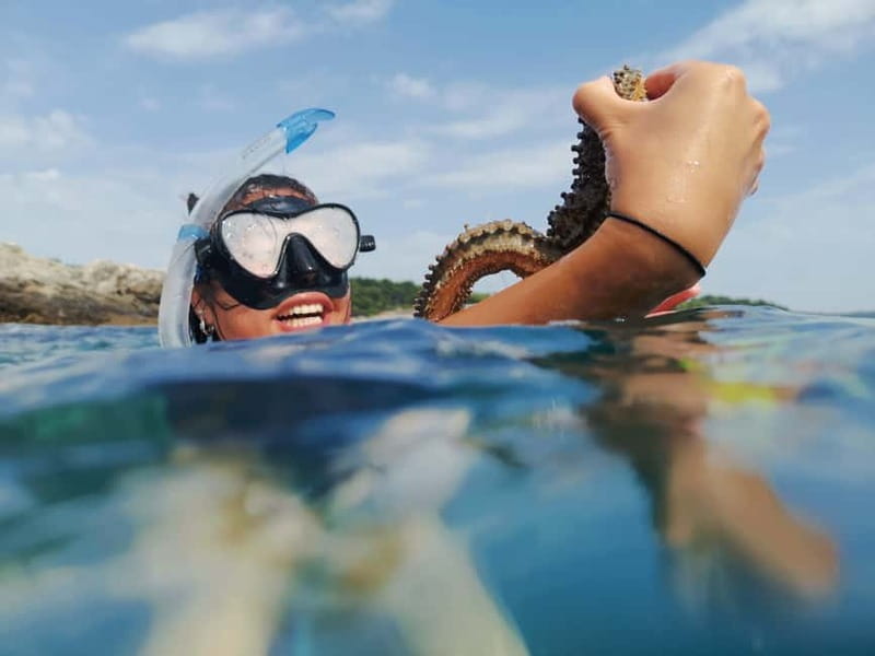 Pula: Sea Adventure – Boat, Kayak, Snorkeling & Cliff Jumps - A 2.5-hour water session with room to choose