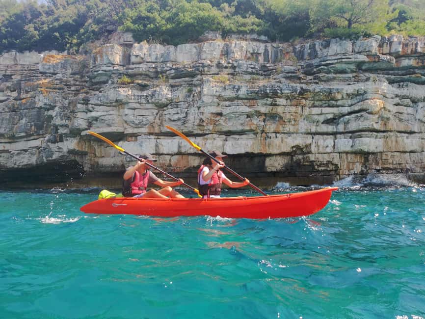 Pula: Sea Adventure – Boat, Kayak, Snorkeling & Cliff Jumps - Wildlife around the cliffs