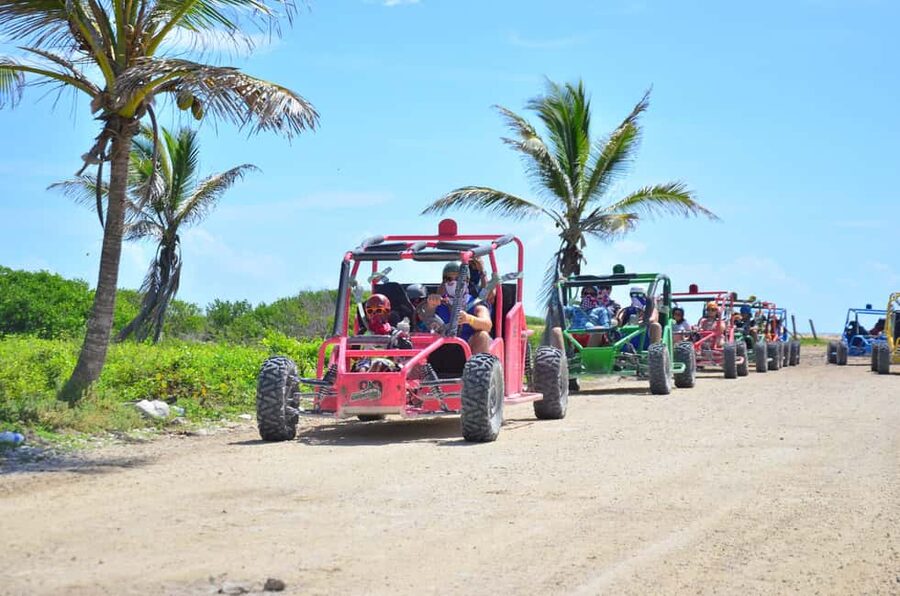 Punta Cana: Extreme Buggy Tour with River Cave & Macao Beach - Driving through fields toward Macao Beach
